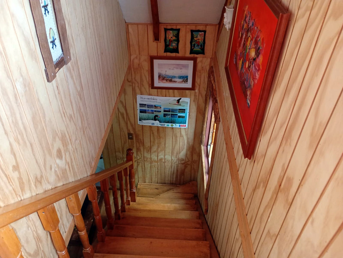 Cabaña 2